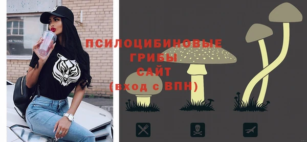 гидропоника Строитель