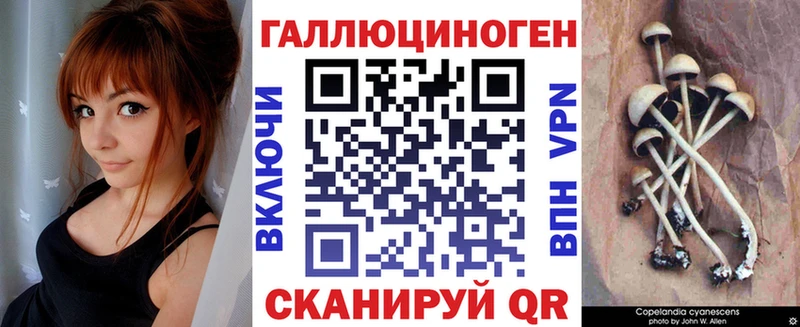 Псилоцибиновые грибы мицелий  Верхотурье 